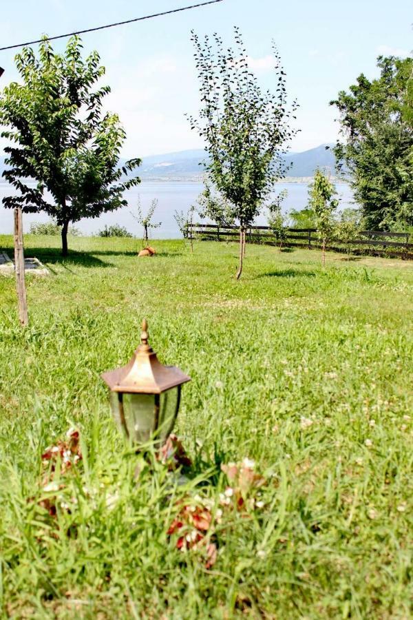 Carobni Breg Vila Golubac Exterior foto